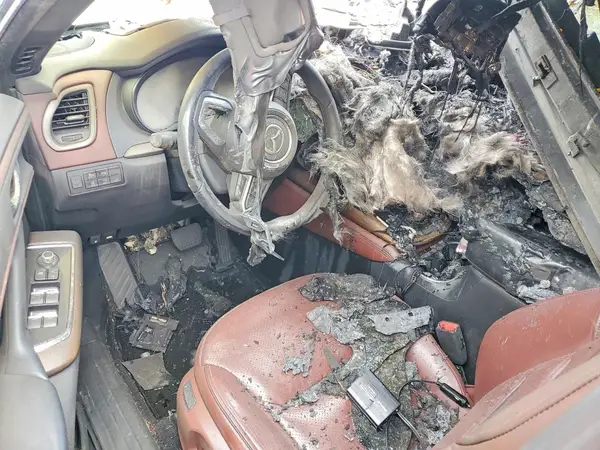 JM3TCBEY6G0104105 2016 MAZDA CX-9 - Image 8