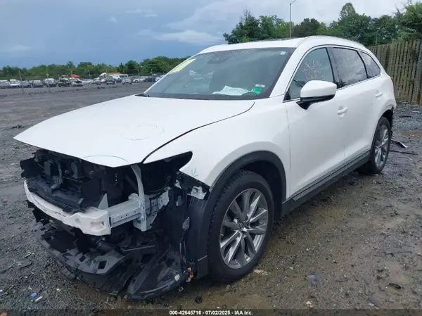 JM3TCBEY6K0307102 2019 MAZDA CX-9 - Image 2