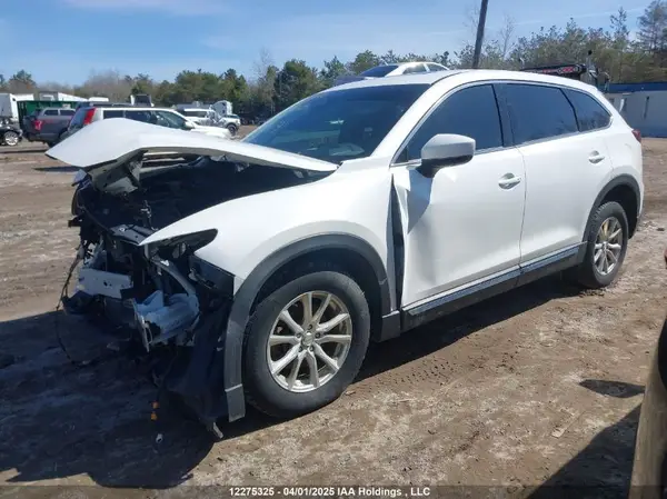JM3TCBEY6L0405628 2020 MAZDA CX-9 - Image 2