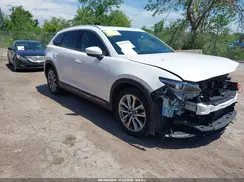 JM3TCBEY8H0139679 2017 MAZDA CX-9