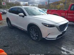 JM3TCBEY9K0313699 2019 MAZDA CX-9