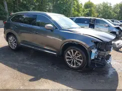 JM3TCBEYXK0317745 2019 MAZDA CX-9