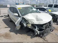JN1BJ1CP1KW238771 2019 NISSAN ROGUE