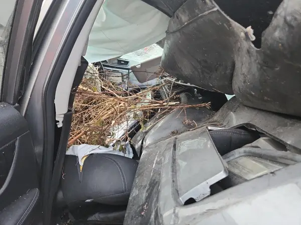 JN8AT2MT7HW403305 2017 NISSAN ROGUE - Image 8