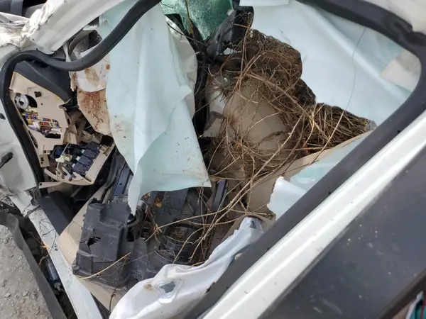 JN8AT2MV6HW016665 2017 NISSAN ROGUE - Image 8