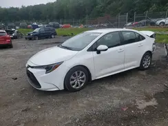 JTDB4MEE7P3011384 2023 TOYOTA COROLLA