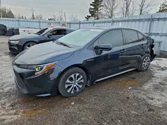 JTDBAMDE0MJ031798 2021 TOYOTA COROLLA