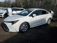 JTDBAMDE4N3001905 2022 TOYOTA COROLLA