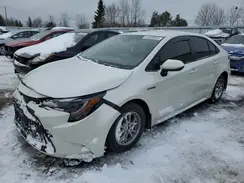 JTDBAMDE5MJ033305 2021 TOYOTA COROLLA
