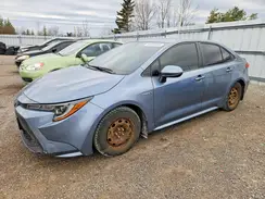 JTDBBRBEXLJ005432 2020 TOYOTA COROLLA