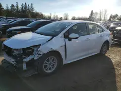 JTDBBRBEXLJ013904 2020 TOYOTA COROLLA