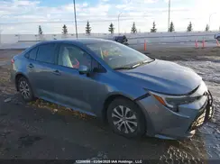JTDBDMHE5P3004297 2023 TOYOTA COROLLA