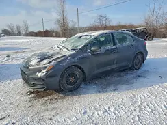 JTDBDMHE6P3006382 2023 TOYOTA COROLLA