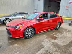 JTDEPRAE3LJ013419 2020 TOYOTA COROLLA