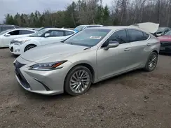 JTHB21B11K2012033 2019 LEXUS ES