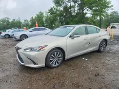 JTHB21B11K2030483 2019 LEXUS ES