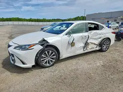 JTHB21B11K2057862 2019 LEXUS ES
