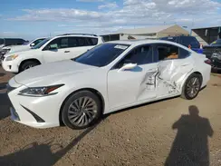 JTHB21B12K2043498 2019 LEXUS ES