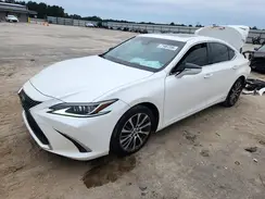 JTHB21B13K2031165 2019 LEXUS ES