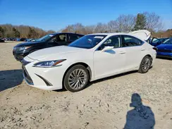 JTHB21B13K2035457 2019 LEXUS ES