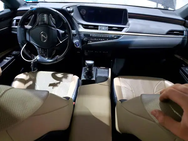 JTHB21B15K2000791 2019 LEXUS ES - Image 8