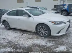 JTHB21B15K2027991 2019 LEXUS ES