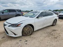 JTHB21B17K2004499 2019 LEXUS ES
