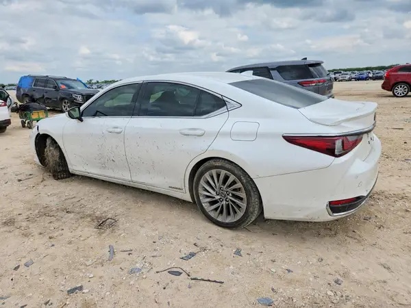 JTHB21B17K2004499 2019 LEXUS ES - Image 2