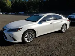 JTHB21B19K2035706 2019 LEXUS ES