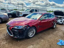 JTHB21B19K2038119 2019 LEXUS ES