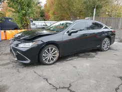 JTHB21B1XK2002360 2019 LEXUS ES