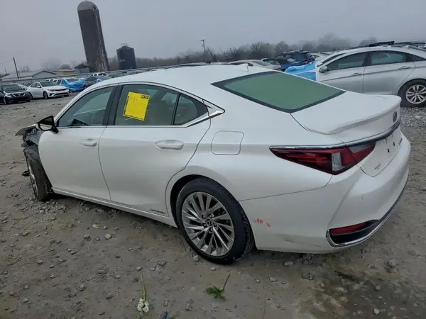 JTHB21B1XK2024276 2019 LEXUS ES - Image 2