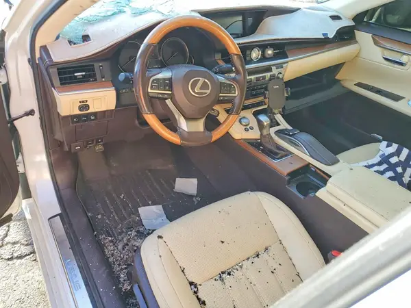 JTHBW1GG0J2190614 2018 LEXUS ES - Image 8