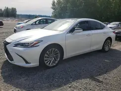 JTHBZ1B14K2004374 2019 LEXUS ES