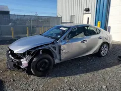JTHC81F23R5053973 2024 LEXUS IS