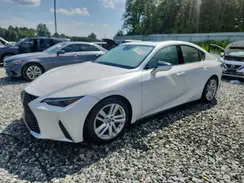 JTHCA1D22R5132686 2024 LEXUS IS