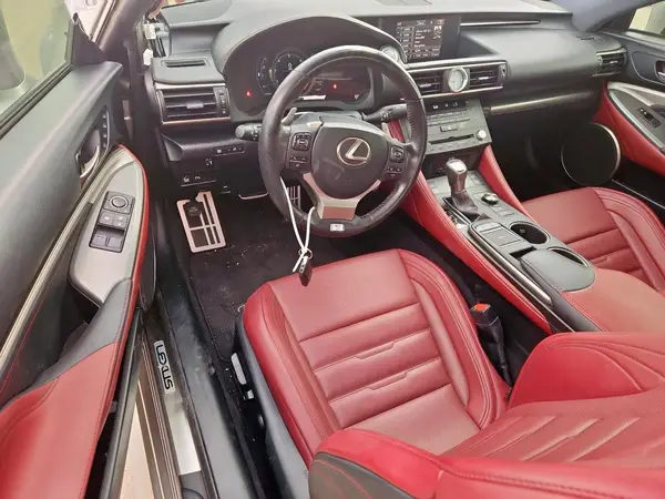 JTHHE5BC9H5015442 2017 LEXUS RX - Image 8