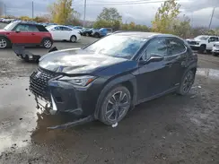 JTHL9JBH2M2043856 2021 LEXUS UX