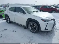 JTHL9JBH2M2052055 2021 LEXUS UX