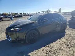 JTHL9JBH4L2023428 2020 LEXUS UX
