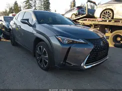 JTHL9JBH4M2048248 2021 LEXUS UX