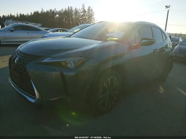 JTHL9JBH4M2048248 2021 LEXUS UX - Image 2
