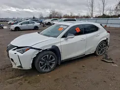 JTHL9JBH4M2049707 2021 LEXUS UX