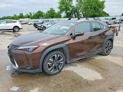 JTHL9JBH7L2032561 2020 LEXUS UX