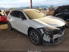 JTHP6JBH9R2189009 2024 LEXUS UX