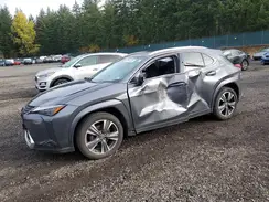 JTHP9JBH0R2077321 2024 LEXUS UX