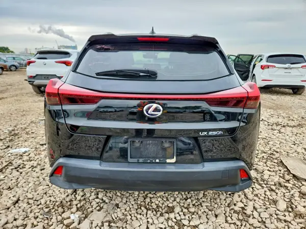 2020 LEXUS UX auction photo 6