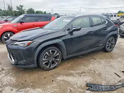 JTHP9JBH4M2039616 2021 LEXUS UX