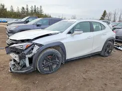 JTHP9JBH4M2043813 2021 LEXUS UX