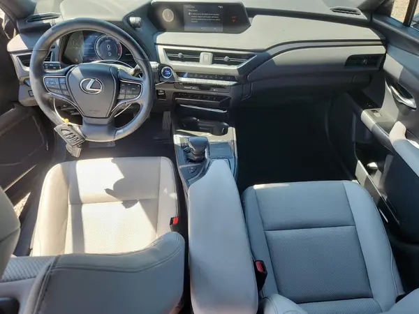 JTHP9JBH6L2031824 2020 LEXUS UX - Image 8